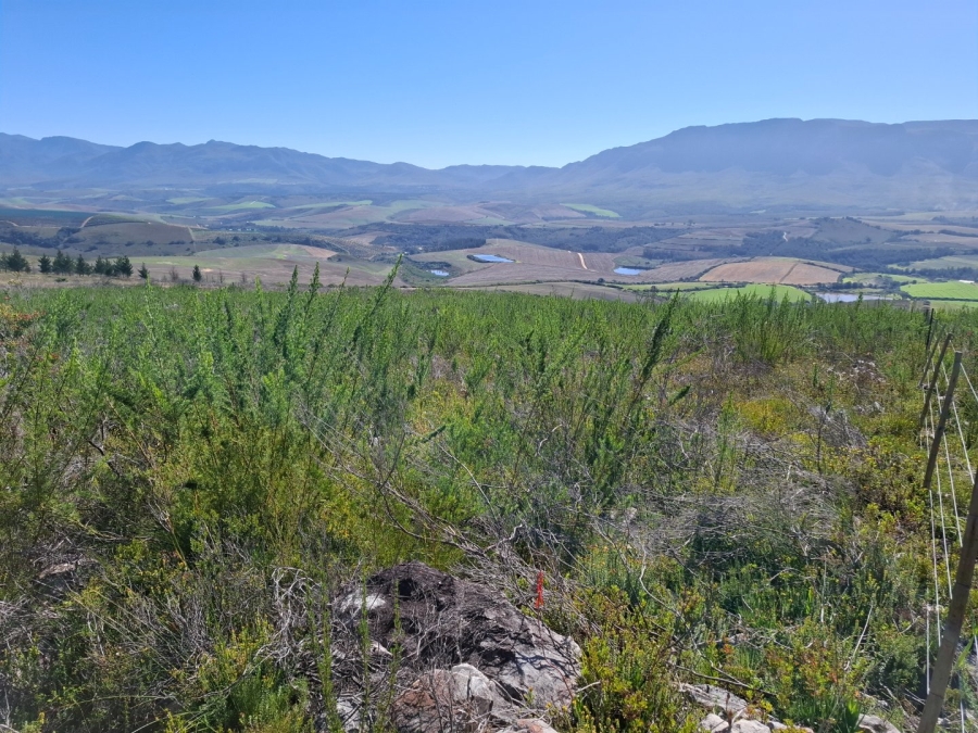  Bedroom Property for Sale in Riversdale Rural Western Cape
